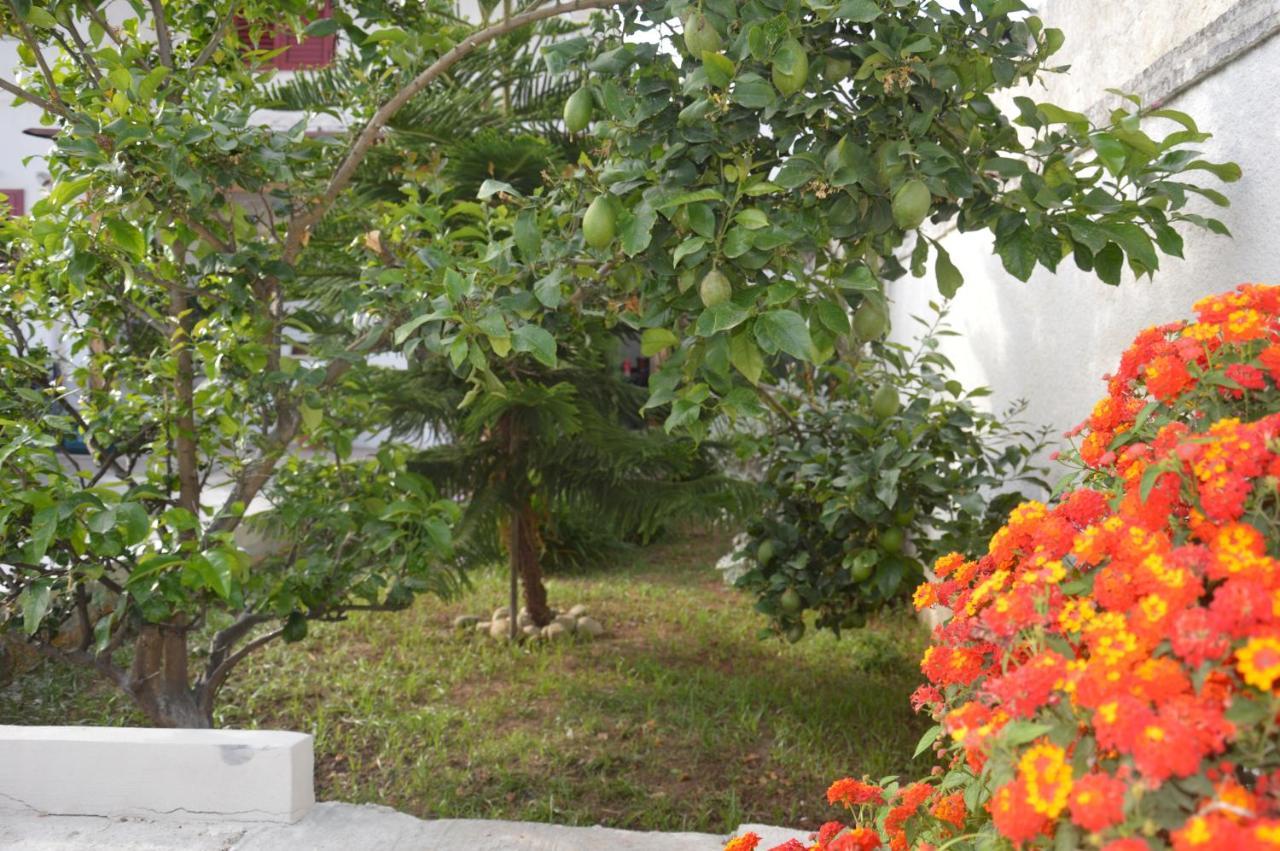 Guest house Depan Dance